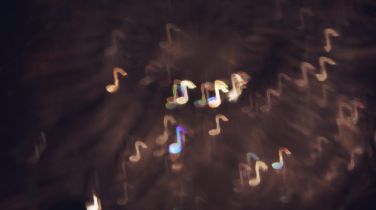 Nederlandse Musical Acteurs